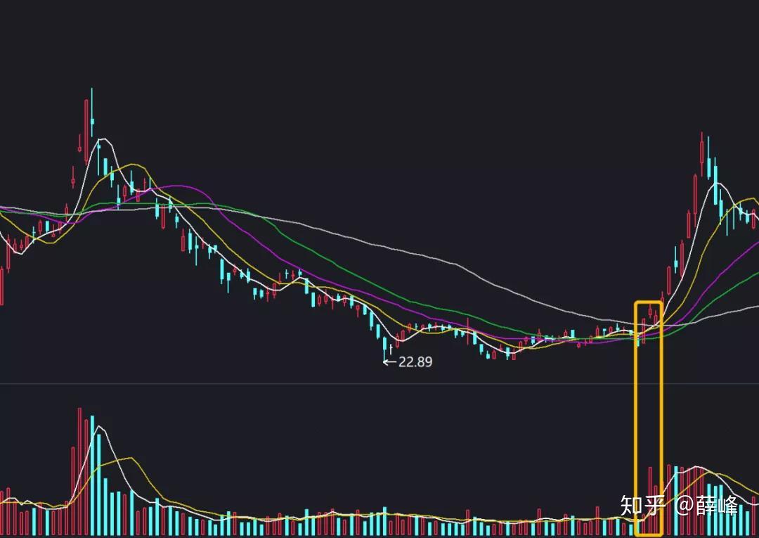 美联储主席候选人增多！鲍曼、杰斐逊、洛根在列