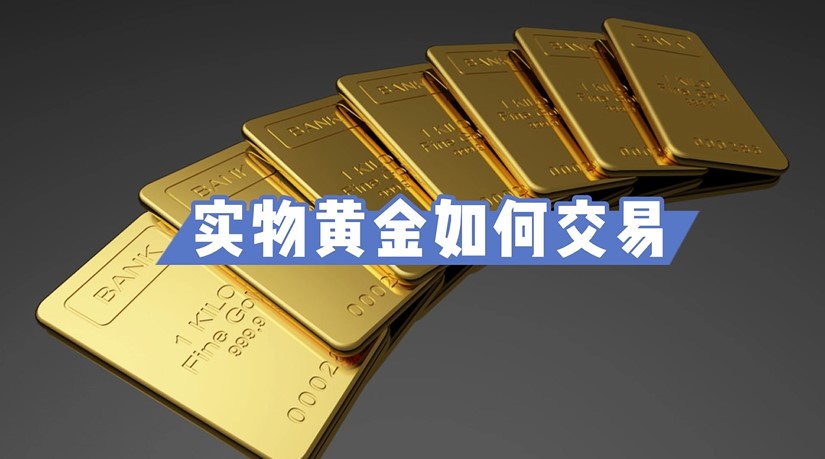 张家口市组织排球项目骨干裁判员参与联赛执裁
